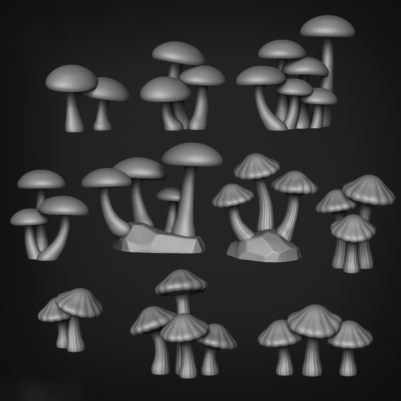 Cogumelos Botão