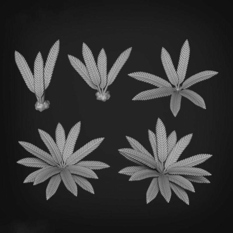 Samambaias 3