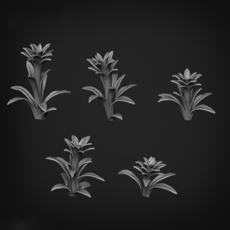 Planta Espada Flamejante
