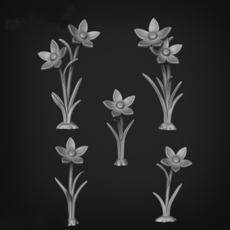 Flores