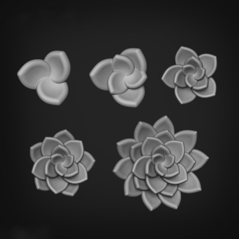 Flor e pétalas de lótus