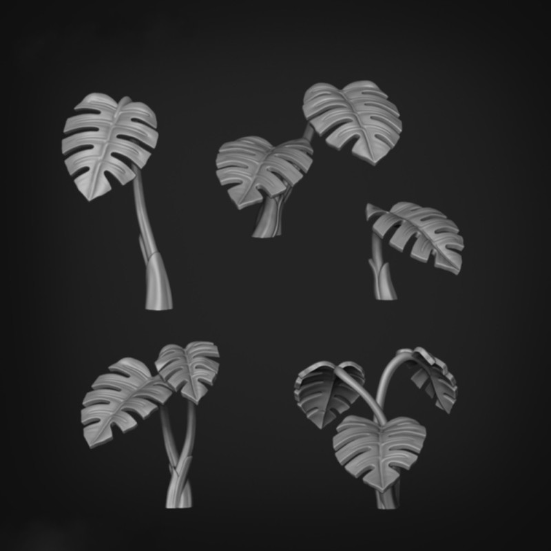 Monstera Deliciosa