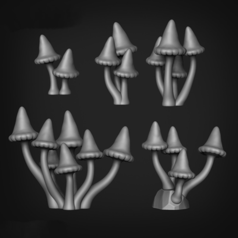 Cogumelos Pontudos