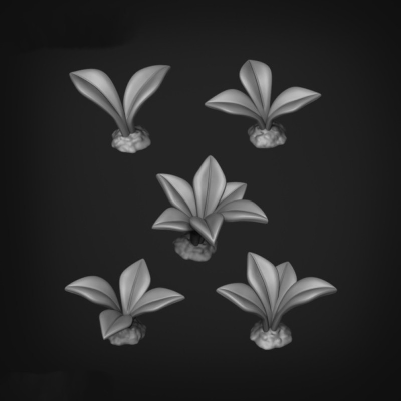 Plantas Pequenas